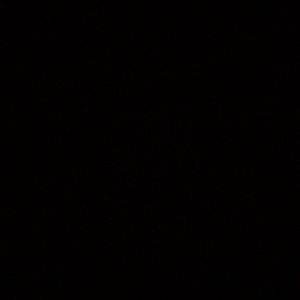 Meet your Posher, Tamiya